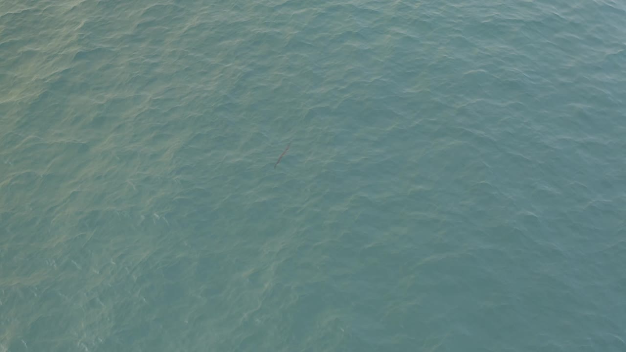Clear sea surface with gentle wave lines