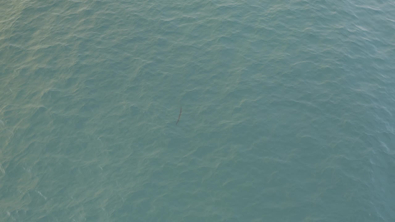 Blue-green water in Baja California Sur fills the view, with faint diagonal current or sand patterns under a lightly rippled surface and no visible people.