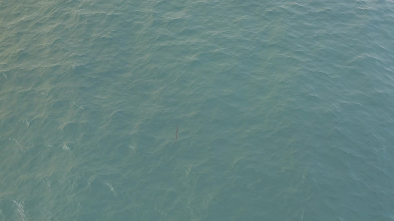 Overhead Baja California Sur water frame with blue-green surface ripple and a faint dark vertical shape near the lower right area, with no visible people.