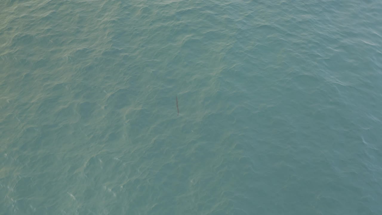 High-angle view of Baja California Sur seawater with cloudy pale ripples and a small dark vertical shape lower in frame, with no visible people.