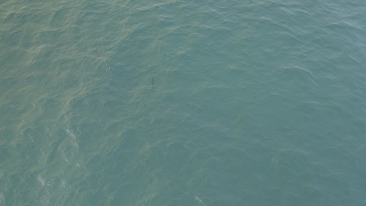 Turquoise sea surface with pale underwater streaks.