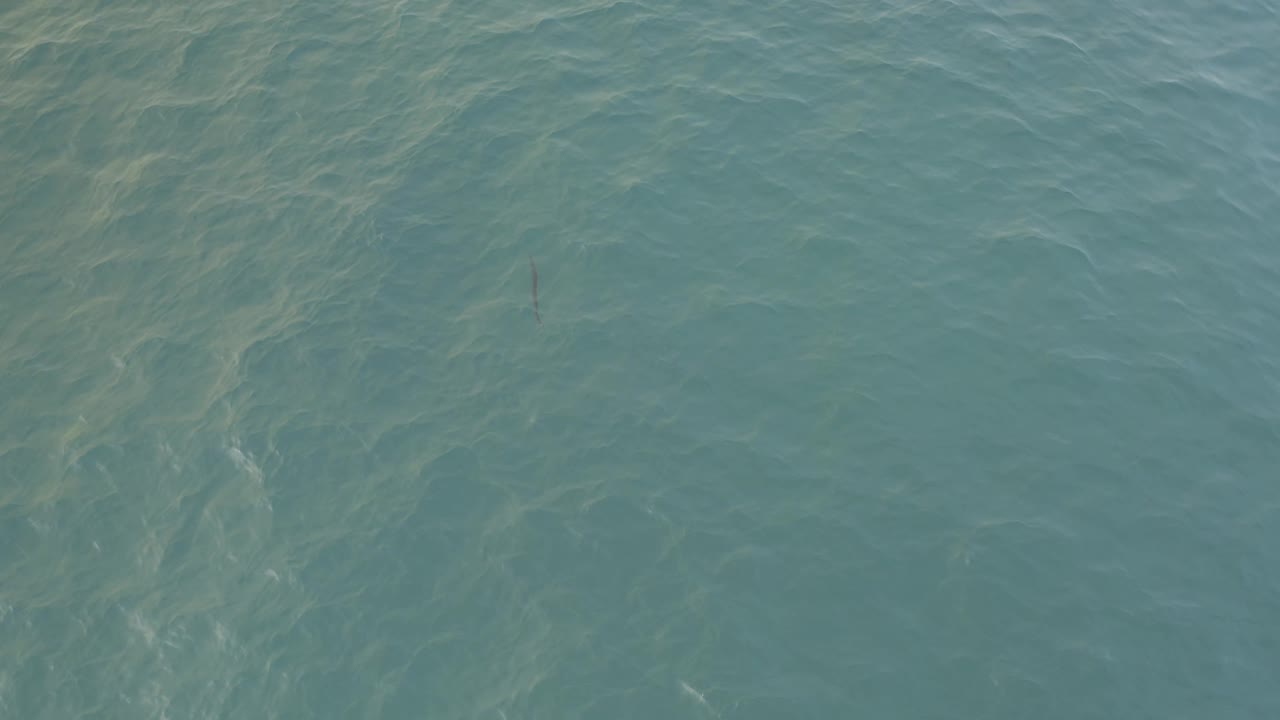 Overhead Baja California Sur water frame with blue-green surface texture, pale sunlit lines below the surface, and no visible people.