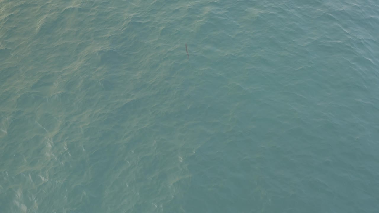 Overhead frame of clear Baja California Sur sea with brighter pale streaks under the water and soft surface texture, no visible people.