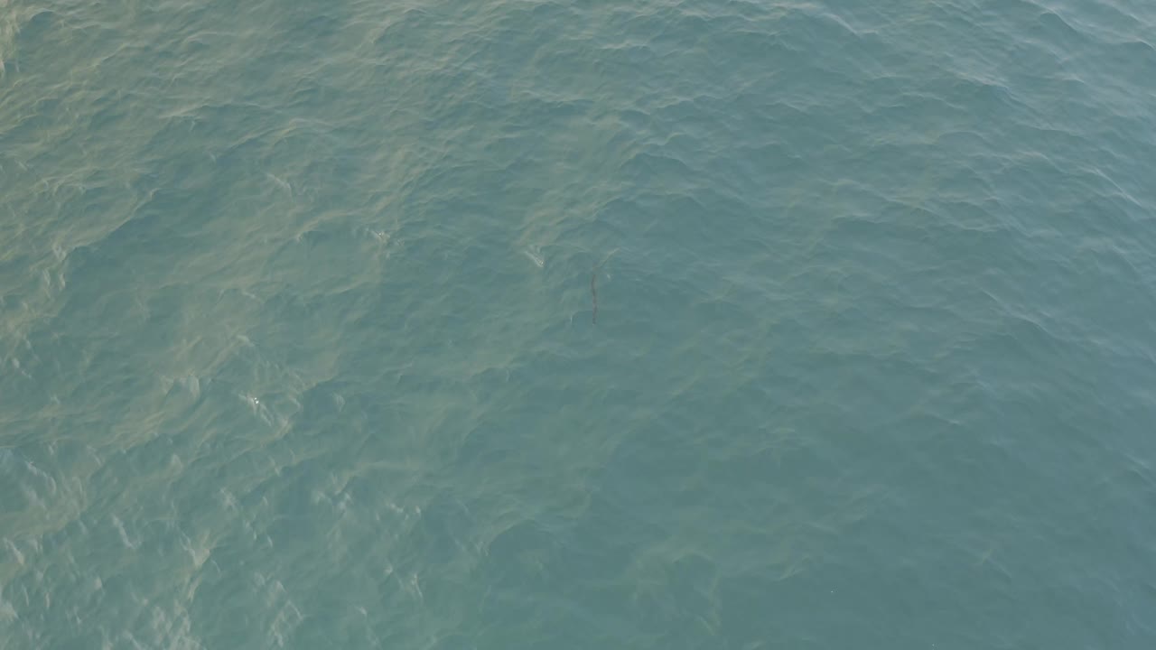 Blue-green water surface in Baja California Sur fills the opening frame, with pale underwater streaks near the left side and no visible people.