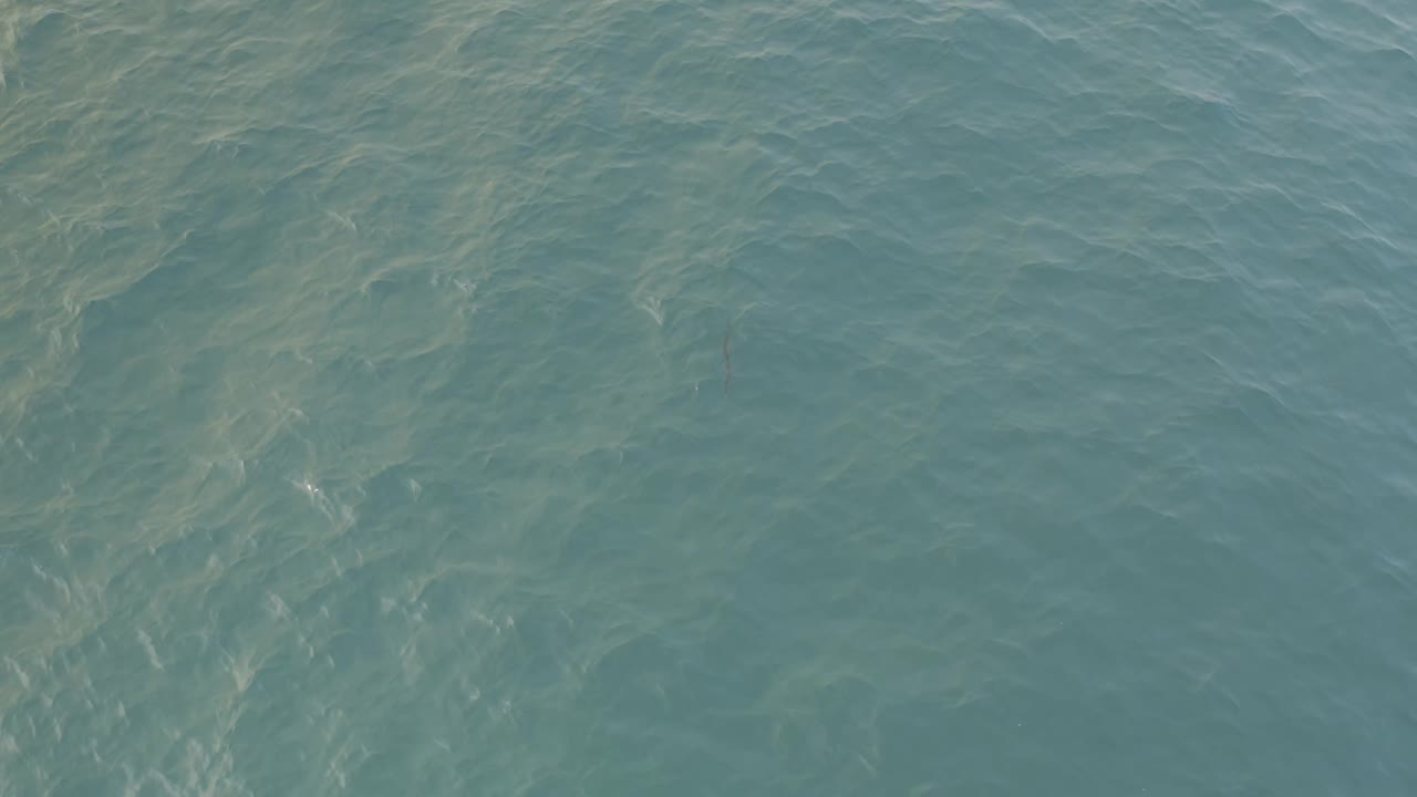 A later frame shows the same Baja California Sur water surface with brighter streaking through the left-center area and no visible people.