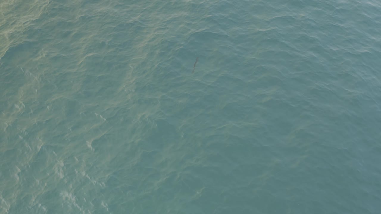 Close view of rippled blue water.