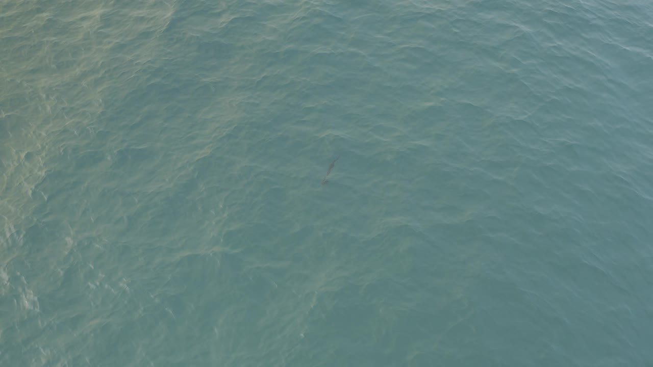 Blue-green ocean water in Baja California Sur fills the frame with faint sunlit ripples and no visible people.