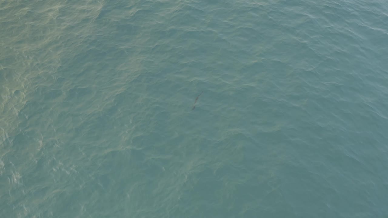 Calm Baja California Sur water shows a blue-green surface, pale ripple lines, and a small dark needle-like shape near the center with no visible people.