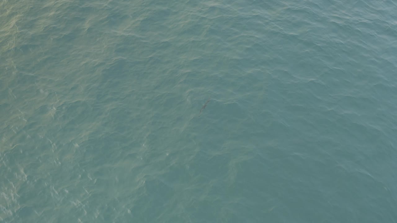 Blue-green seawater in Baja California Sur fills the view with diagonal ripple patterns and faint underwater tonal changes, with no visible people.