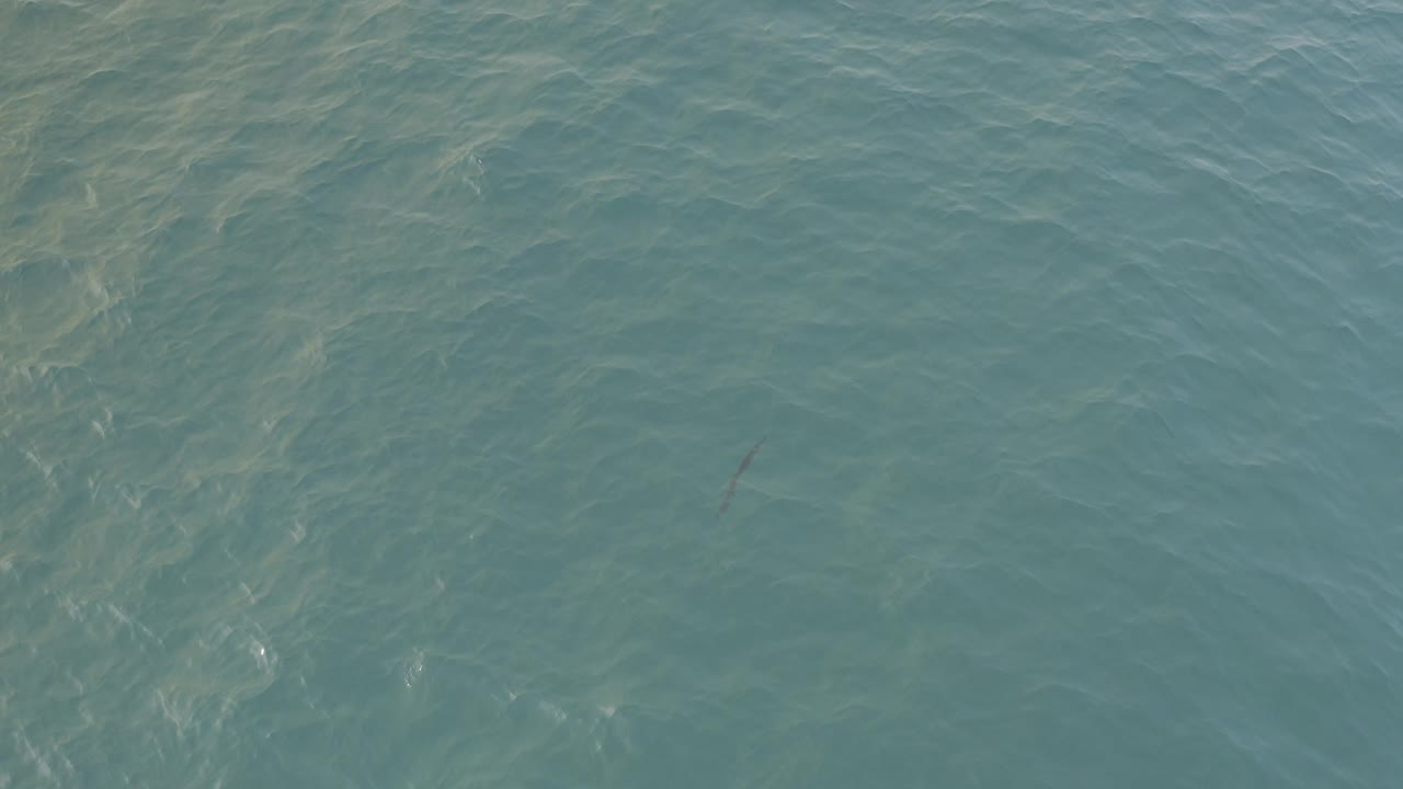 Clear blue-green water in Baja California Sur shows soft wave texture and pale sunlight streaks across the surface, with no visible people.