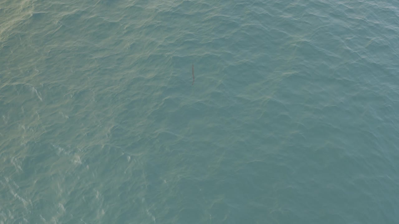 Overhead view of turquoise ocean water in Baja California Sur Mexico, with pale ripple lines and no visible people.