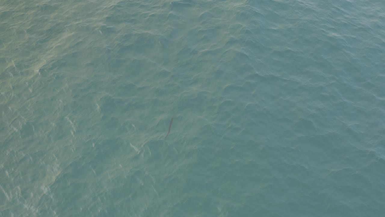 Green-blue water in Baja California Sur, Mexico, fills the shot with brighter ripple streaks along the left side and no shoreline, boats, or visible people.