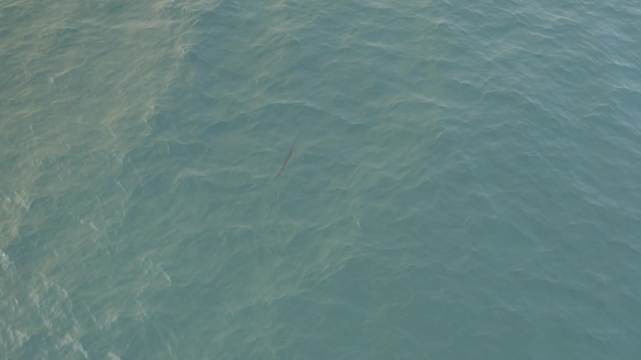 A small dark fish shape sits beneath rippled blue-green water in Baja California Sur, with pale underwater patterns and no visible people.