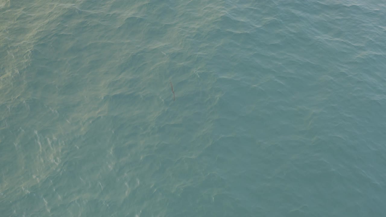 Overhead blue-green water with pale ripples.