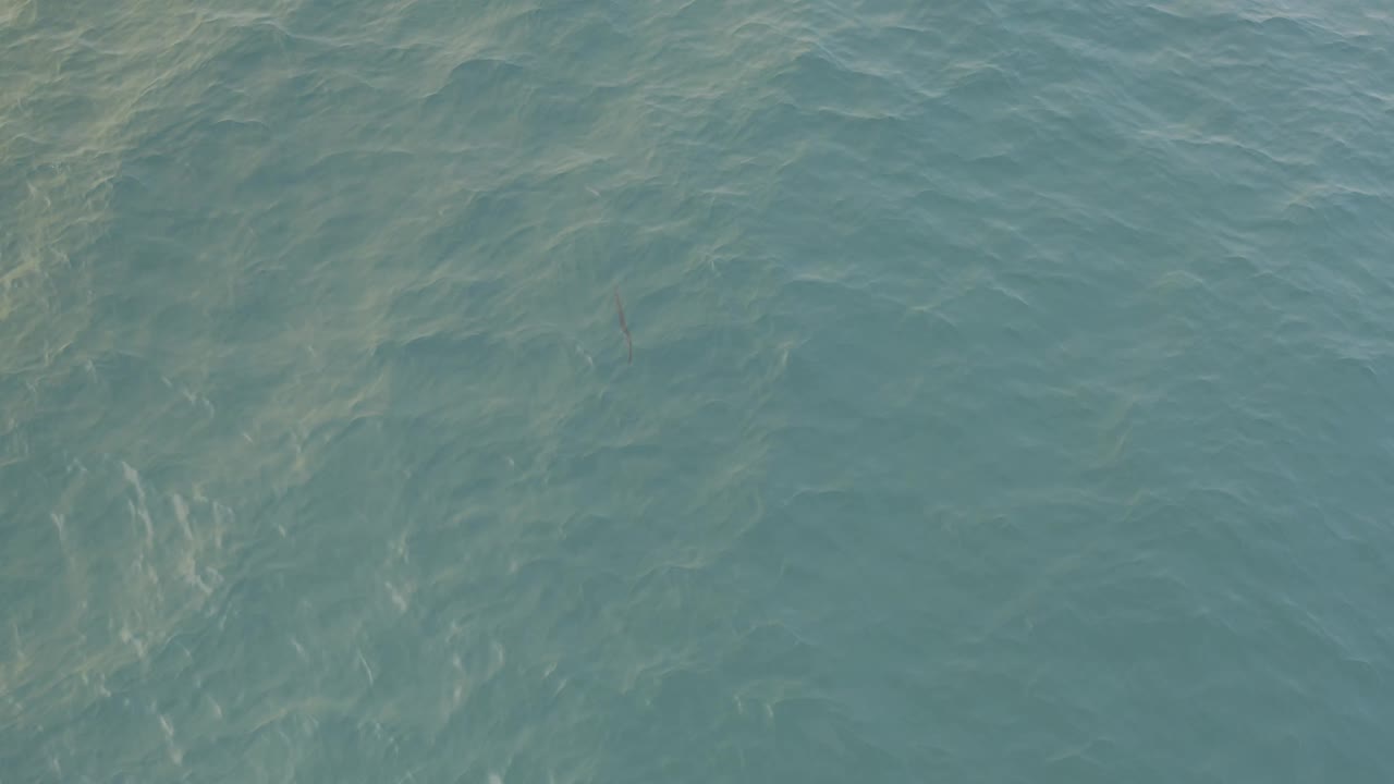 Aerial frame of Baja California Sur water with gentle blue-green surface texture, thin pale bands, and no visible people or vessels.
