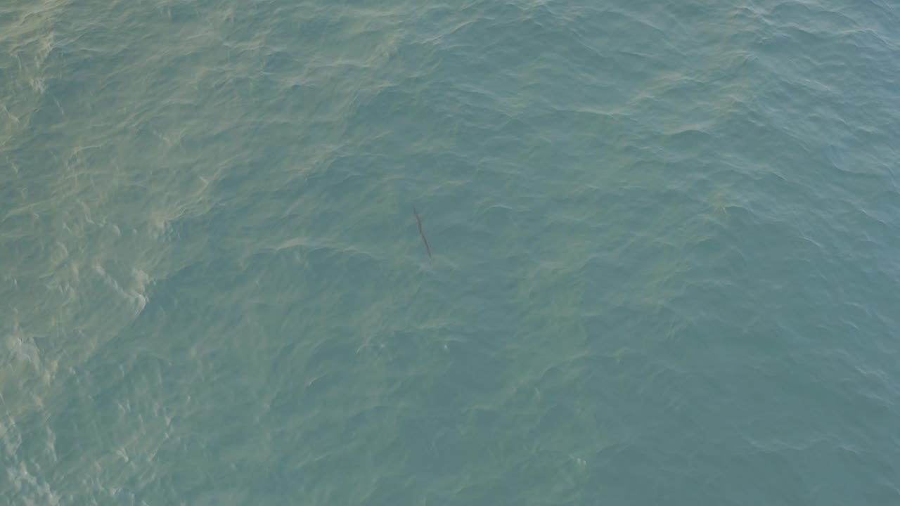 Overhead Baja California Sur ocean surface with diagonal pale streaking through the blue-green water and no visible people, land, or boats.