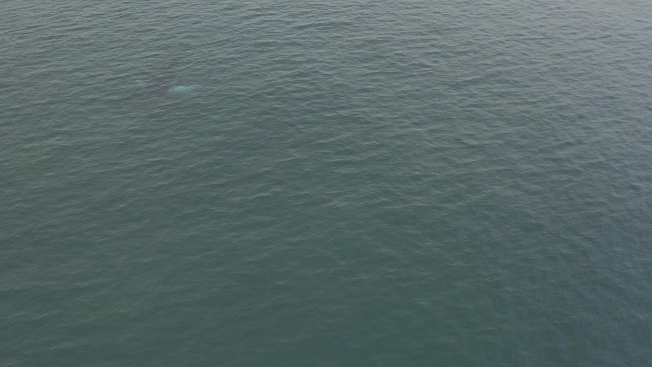 Overhead view of blue-green water in Baja California Sur, Mexico, with a faint submerged whale shape near the lower left and no visible people.