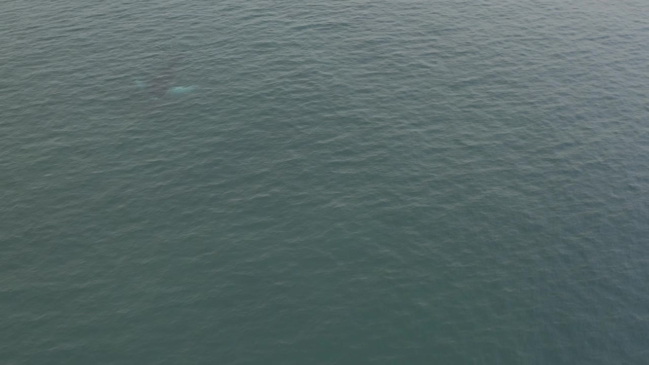 Aerial frame of rippled blue-green water in Baja California Sur, Mexico, with the whale appearing as a soft dark form below the surface and no visible people.