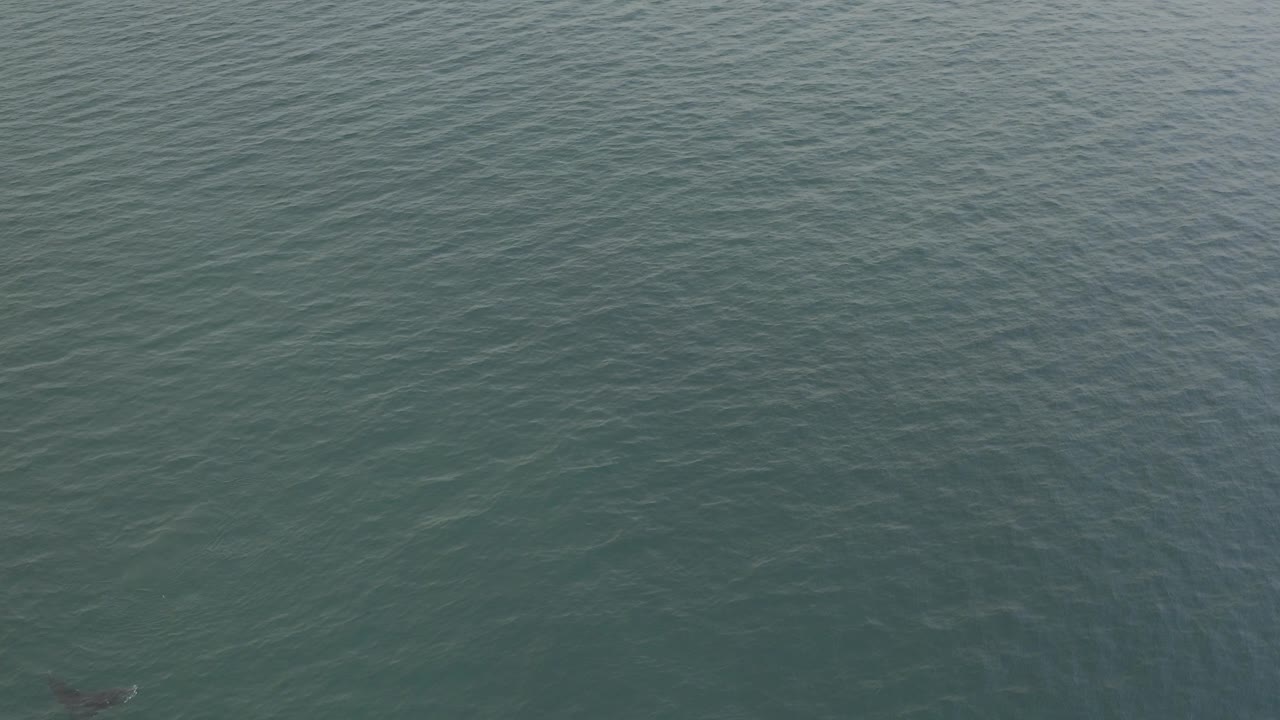 Overhead view of teal ocean water in Baja California Sur, Mexico, with fine ripples across the surface and no visible people.