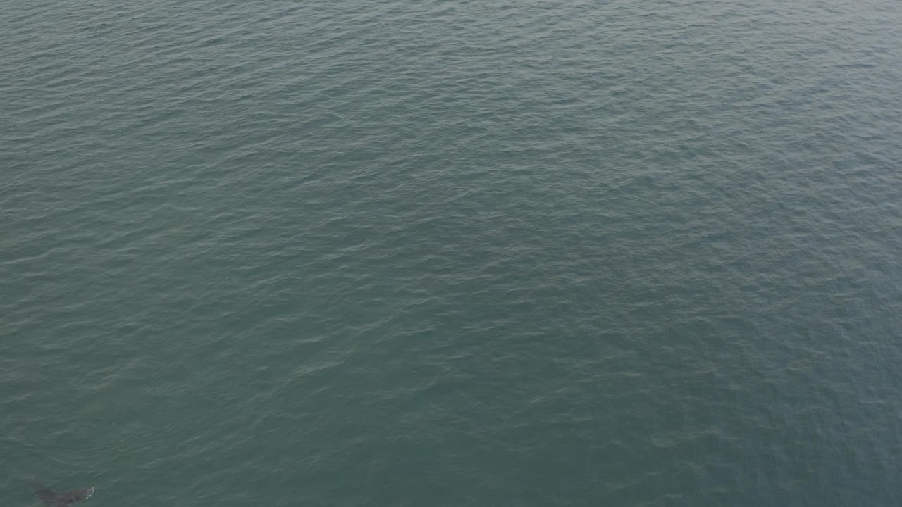 Aerial frame of open teal-green ocean in Baja California Sur, Mexico, with soft wave lines and no visible people.