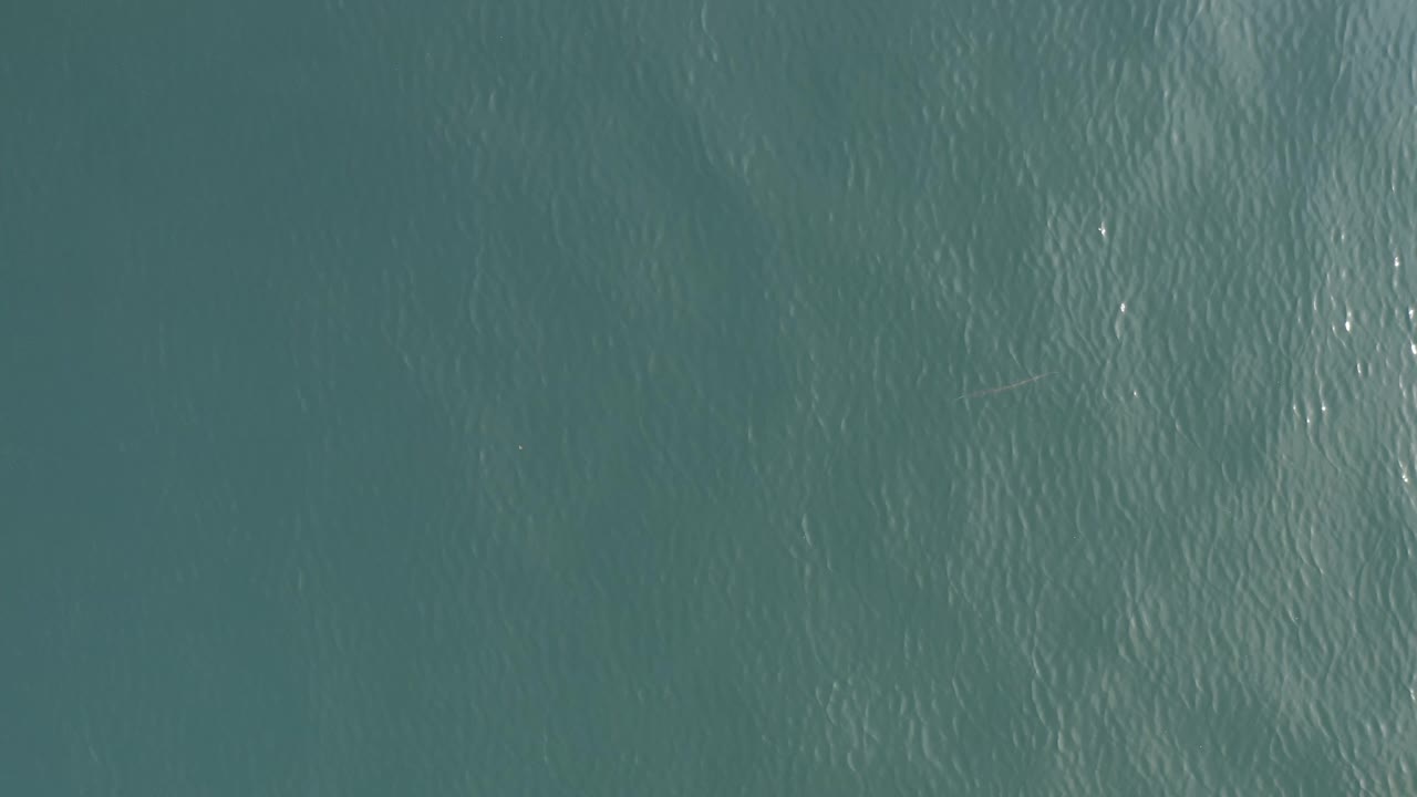 Top-down view of blue-green water in Baja California Sur with fine surface ripples, a few bright glints, faint floating lines, and no visible people.
