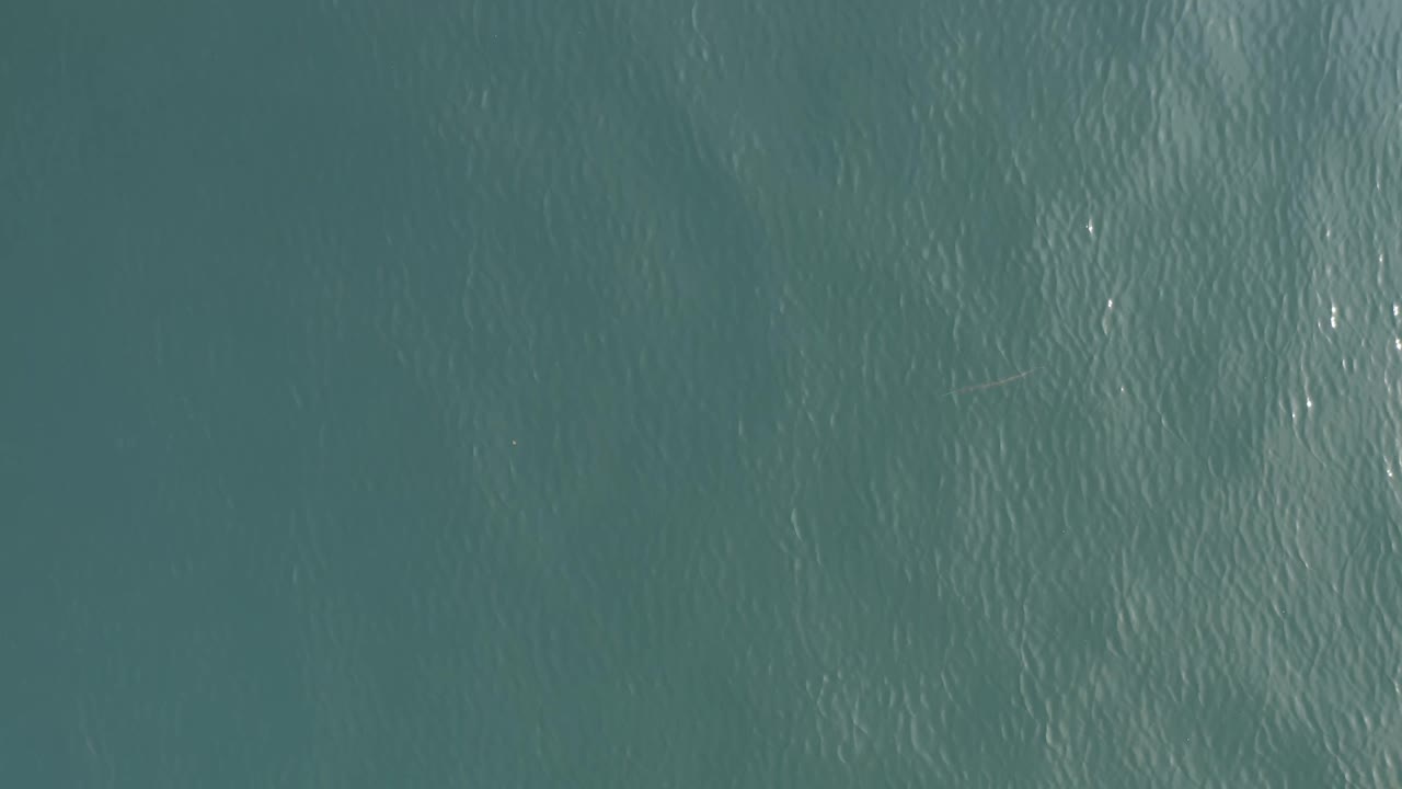 Blue-green sea in Baja California Sur fills the frame from above, with subtle wave texture, small white reflections, faint linear debris or fish shapes, and no visible people.