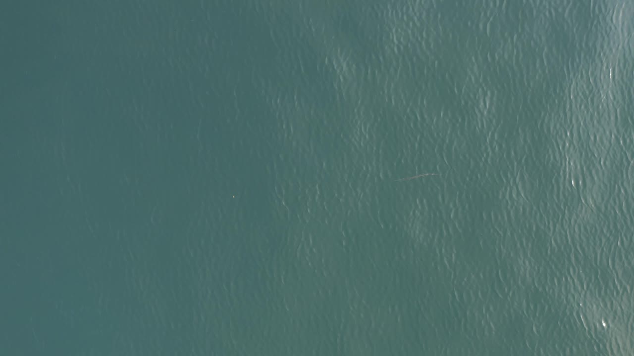 Aerial view of Baja California Sur water with a smoother blue-green field, thin ripple bands, tiny bright reflections, and no visible people.