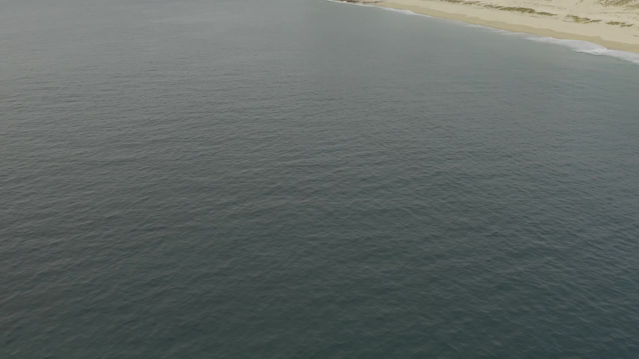 High aerial view over Baja California Sur water with a pale sandy beach cutting across the top edge and no visible people.