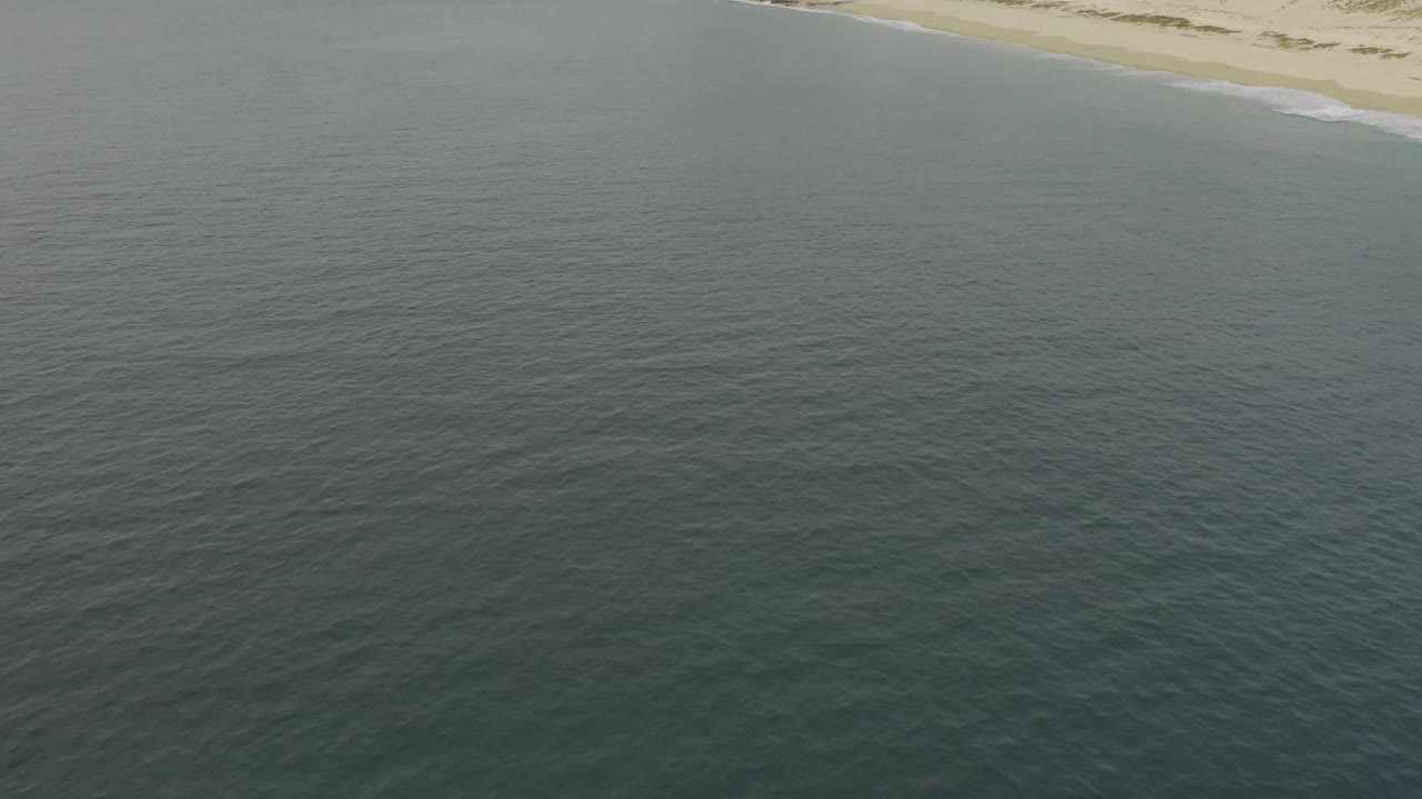 Drone-height view over Baja California Sur water, with the shoreline reduced to a narrow sandy strip at the top and no visible people.