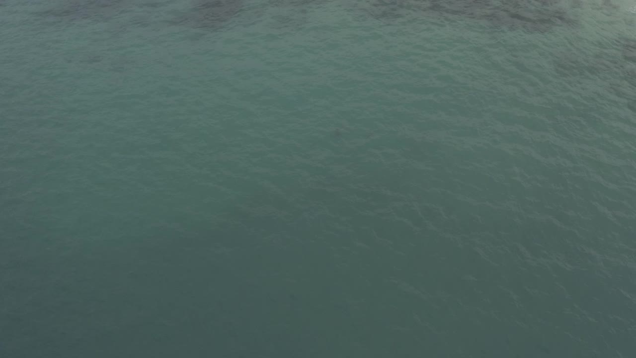 Overhead view of Baja California Sur ocean water with a soft white surf wash across the upper portion and open green water filling the frame, with no visible people.