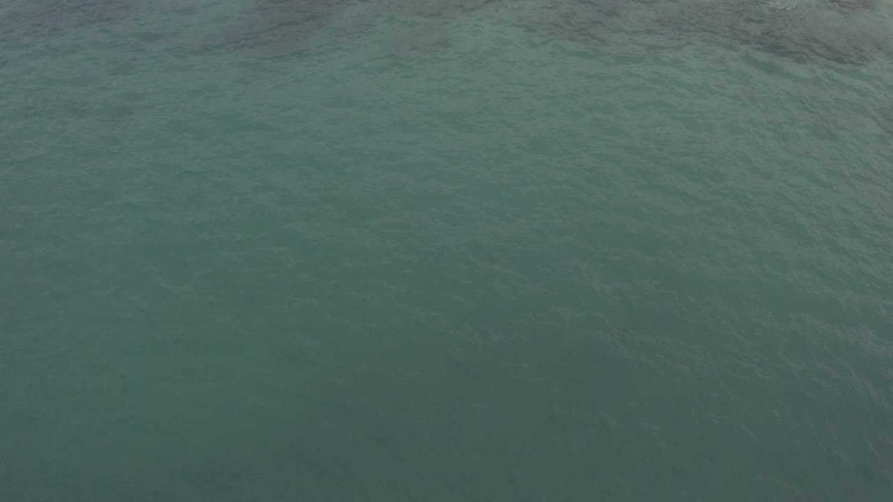 Green-blue sea surface in Baja California Sur, Mexico fills the frame at the start of the clip, with soft ripples and no visible people.