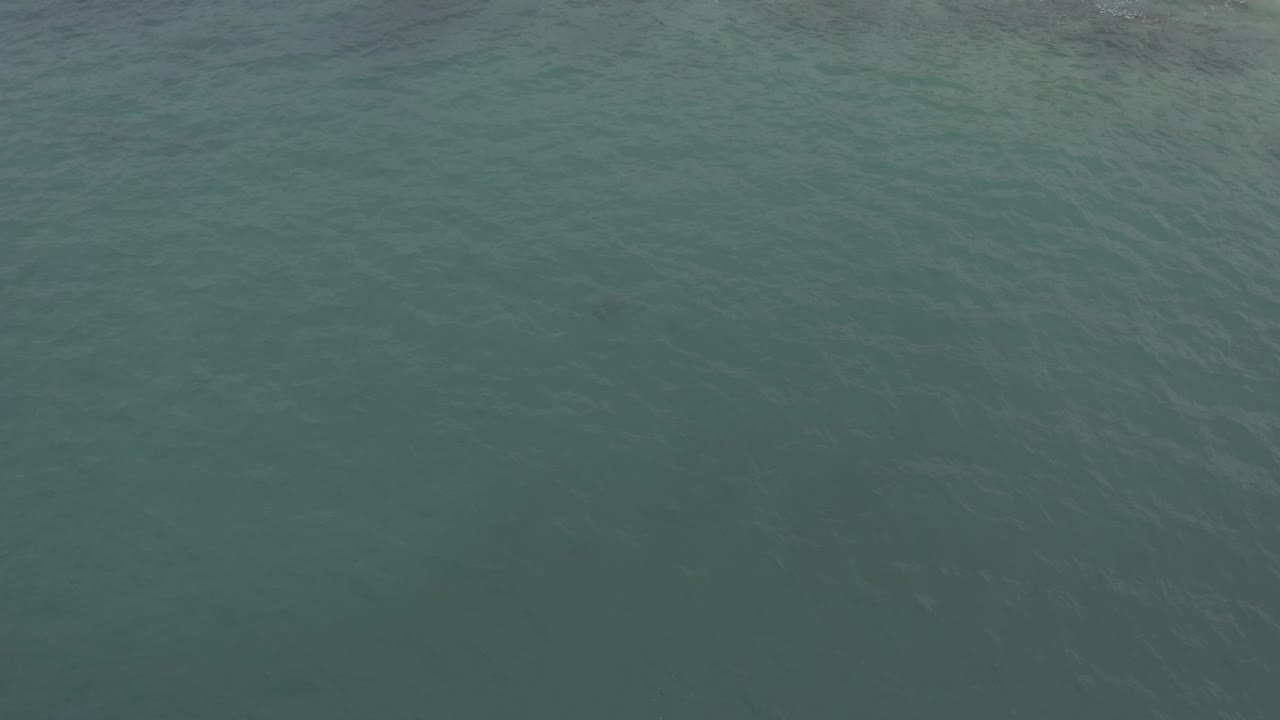 Muted green sea water in Baja California Sur, Mexico appears edge to edge, with small ripple patterns and no visible people or signage.