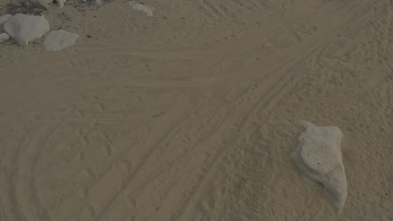 Top-down Baja California Sur sand detail with crossing track marks, wind-shaped texture, a larger pale rock near the lower right, and no visible people.