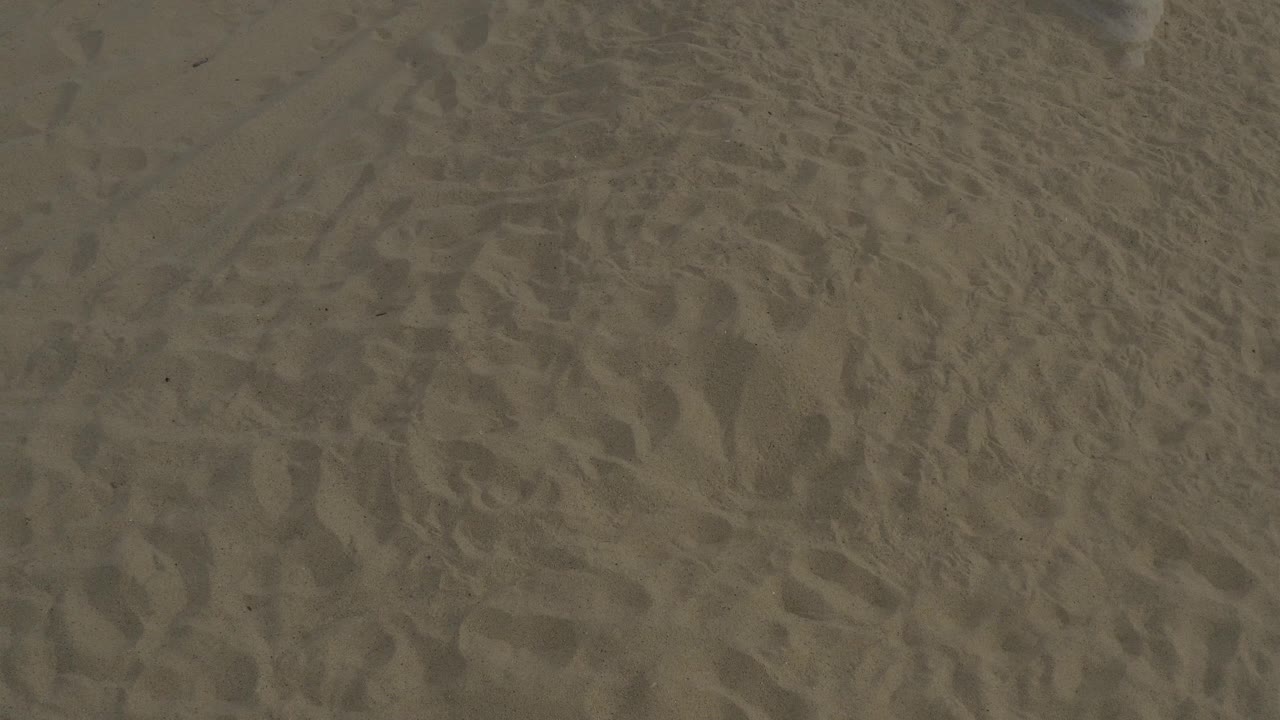 Close view of rippled tan beach sand and footprint impressions in Baja California Sur, Mexico, with no visible people.