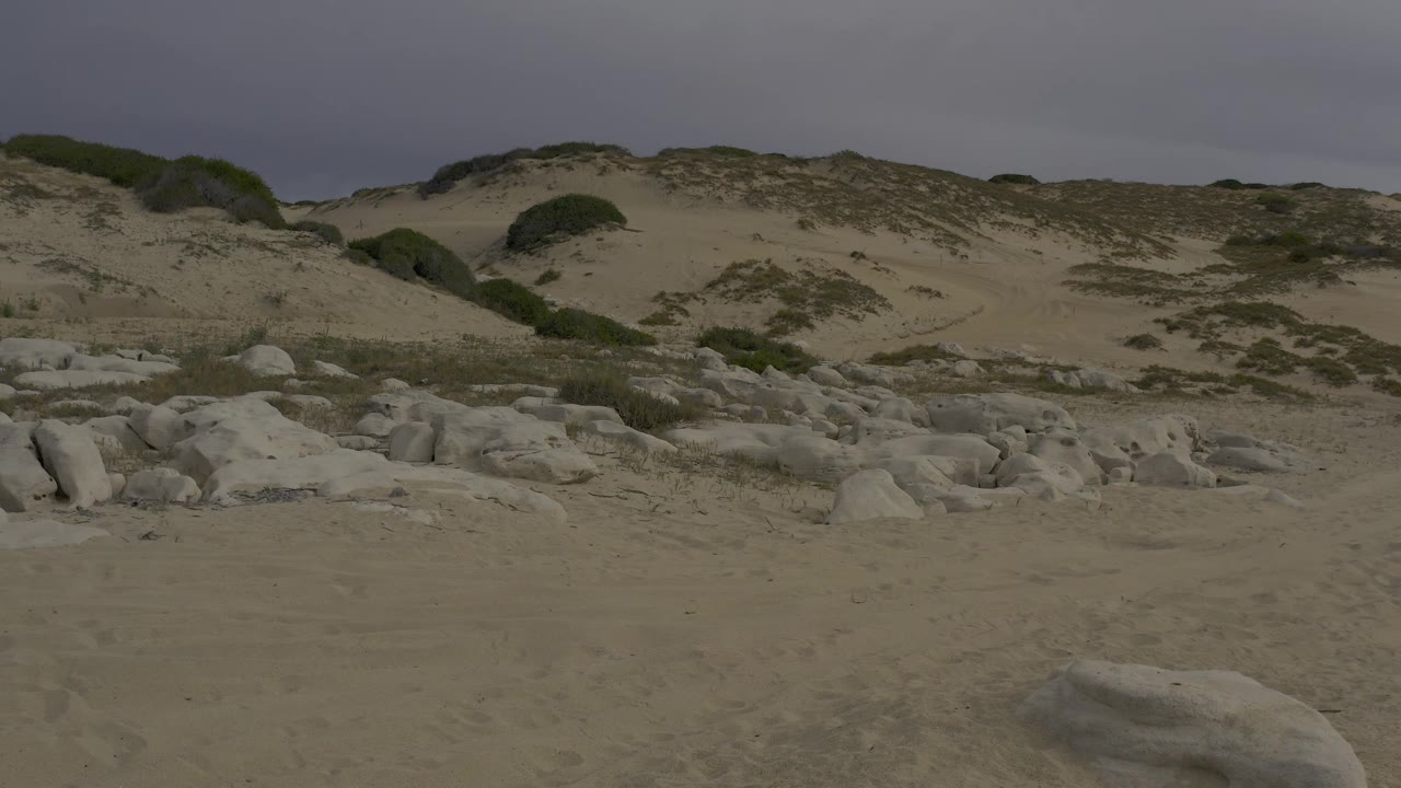 Beach dunes and scattered pale rocks under muted gray light
