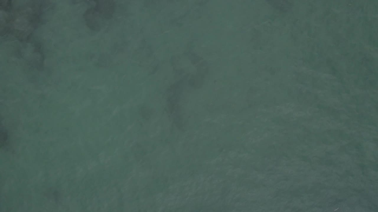 Aerial-looking frame of green ocean water in Baja California Sur Mexico, with darker underwater streaks shifting across the otherwise open surface and no visible people.