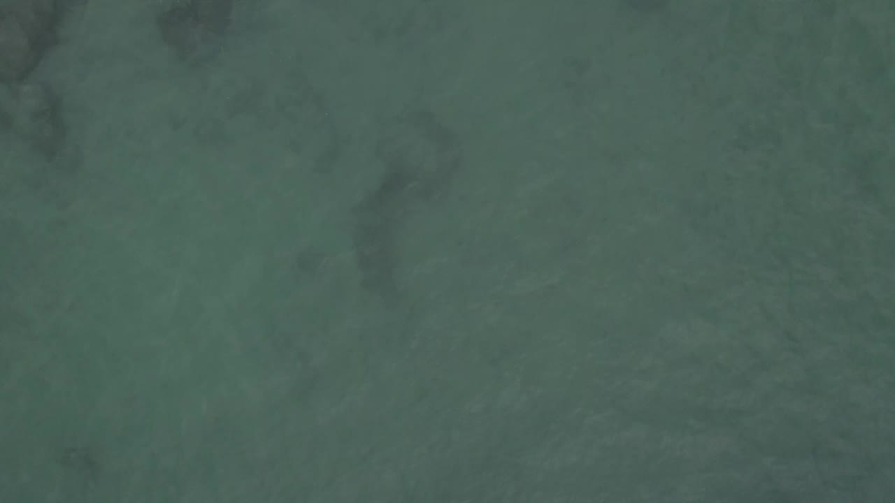 Overhead frame of mottled green coastal water in Baja California Sur, Mexico, with darker underwater structure spread across the frame and no visible people.
