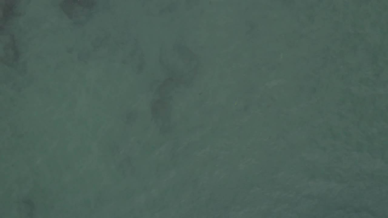 Overhead green ocean surface in Baja California Sur, Mexico, showing scattered dark submerged patches beneath lightly textured water and no visible people.
