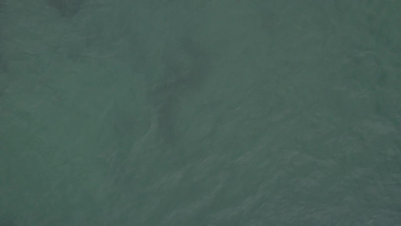 Overhead green water shows soft dark shapes beneath the surface, with no land, boats, horizon, or visible people in the Baja California Sur ocean frame.