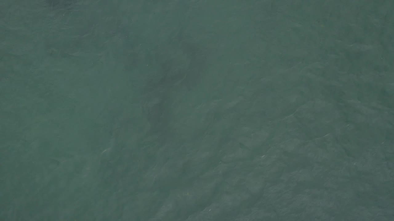 A full-frame view of green ocean texture in Baja California Sur, Mexico, includes muted underwater shadows and subtle surface variation, with no visible people.