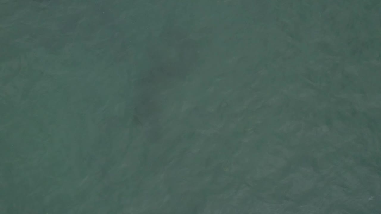 Mottled ocean water in Baja California Sur, Mexico, with faint wave streaks shifting through the green surface and no visible people.