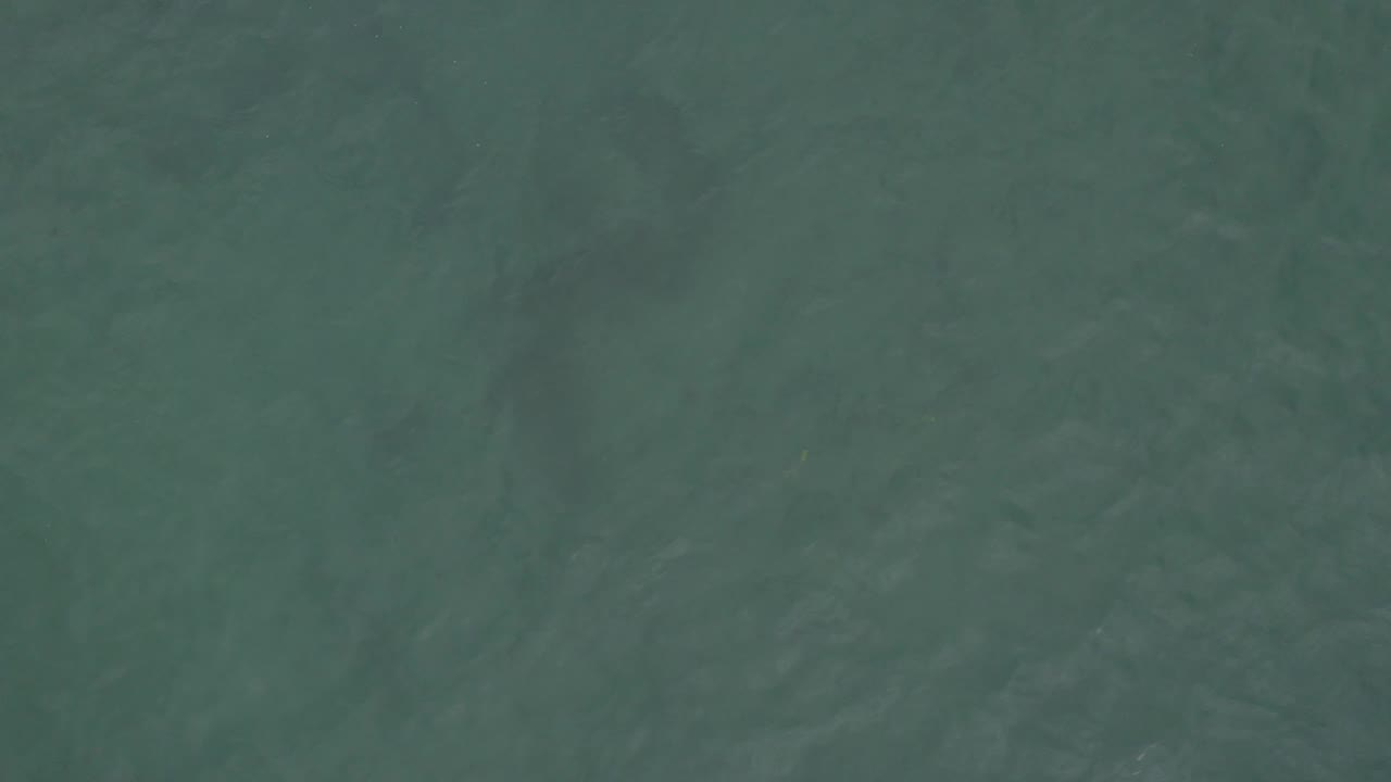 Close aerial-looking view of dark green ocean water in Baja California Sur, Mexico, with low-contrast ripples and no visible people.