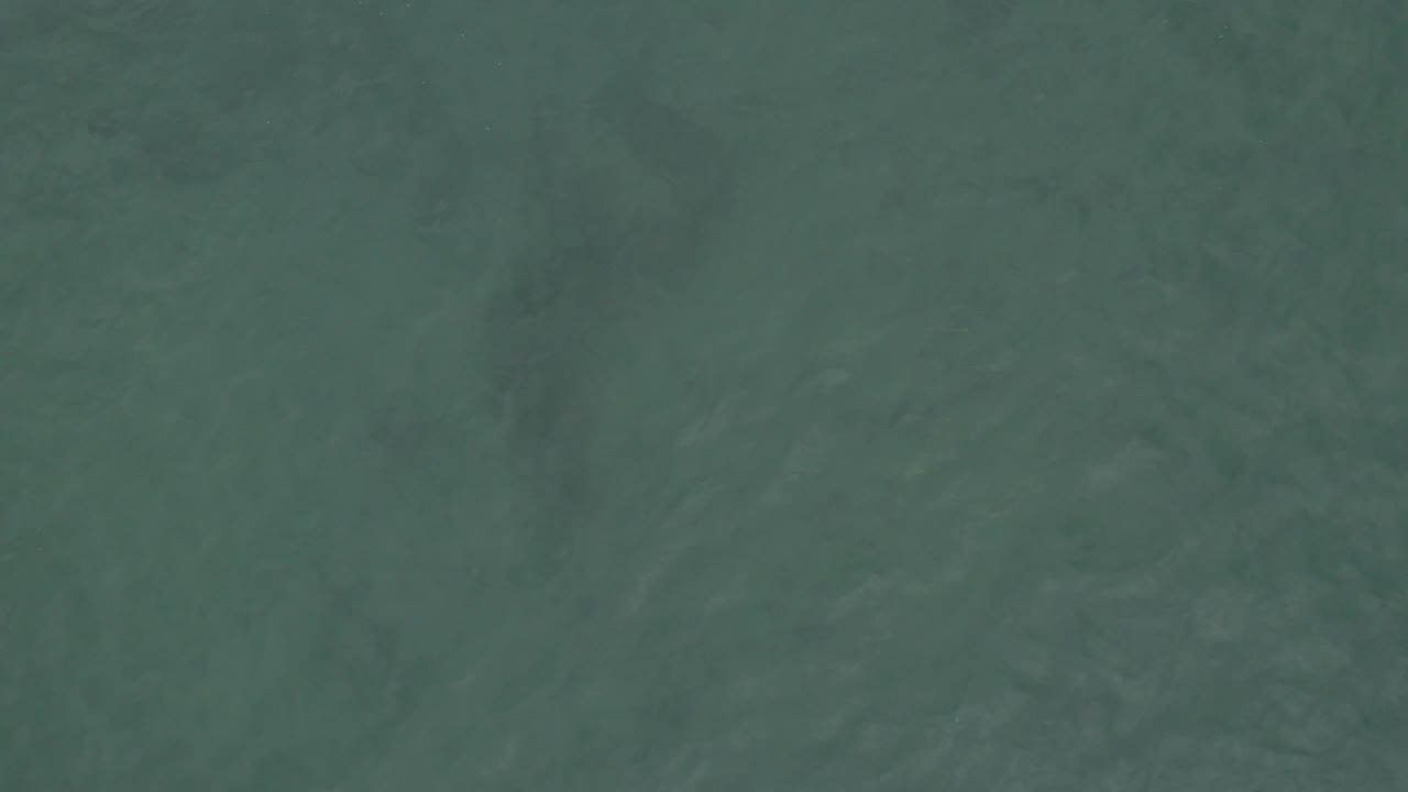 Green blue ocean surface in Baja California Sur, Mexico, with uneven soft wave patterns spreading across the frame and no visible people.
