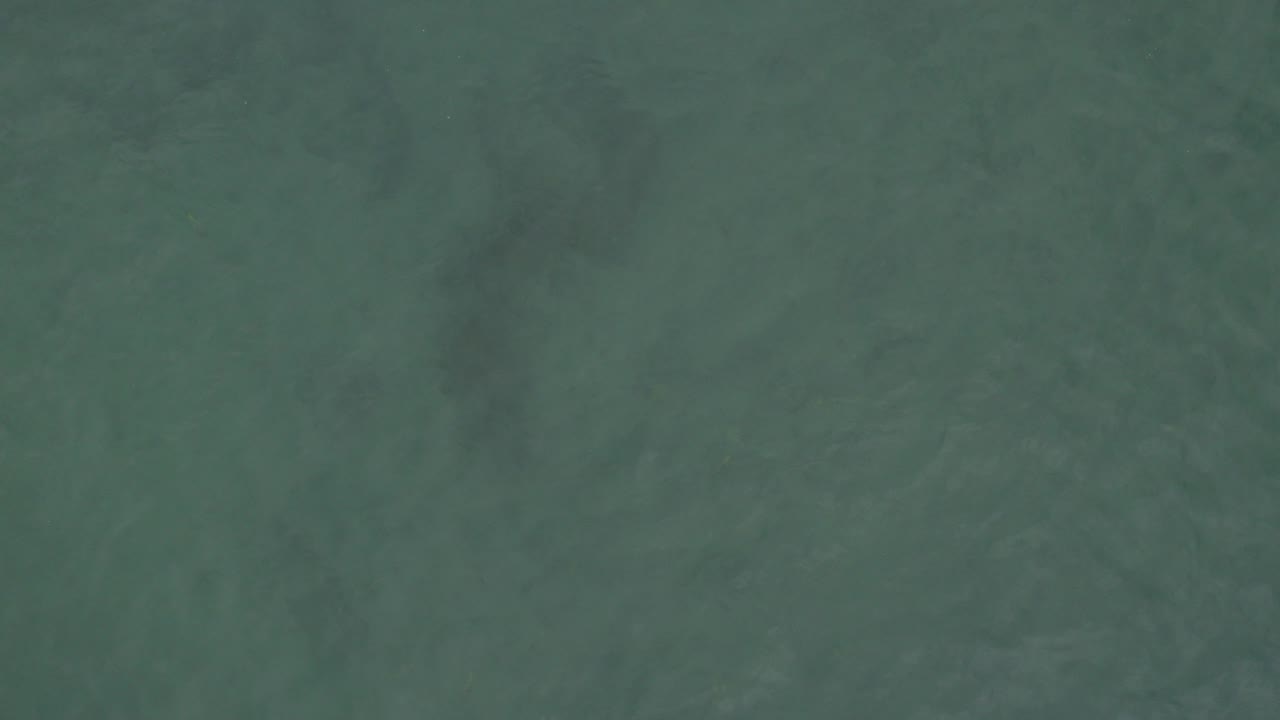 Overhead green-blue ocean surface with faint darker patches.