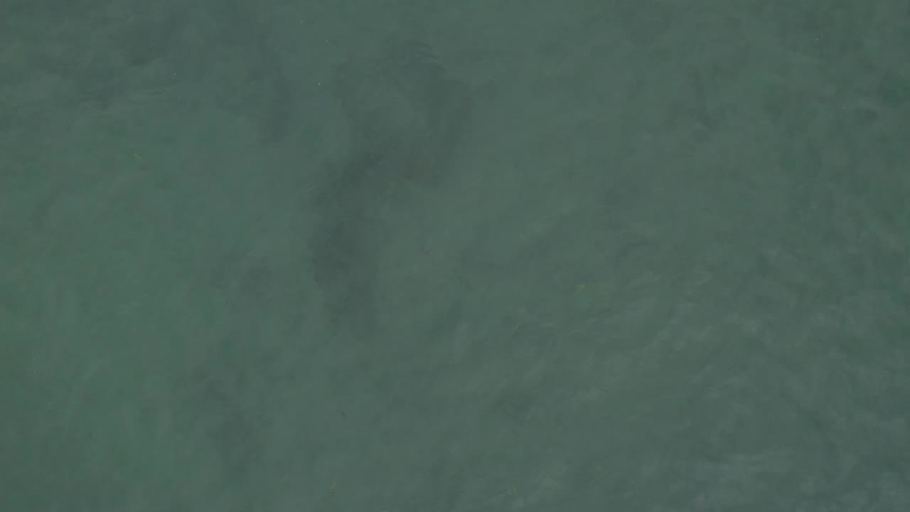 Green-blue ocean water fills the frame in Baja California Sur, Mexico, with subtle ripples and a darker patch near the lower portion, with no visible people.