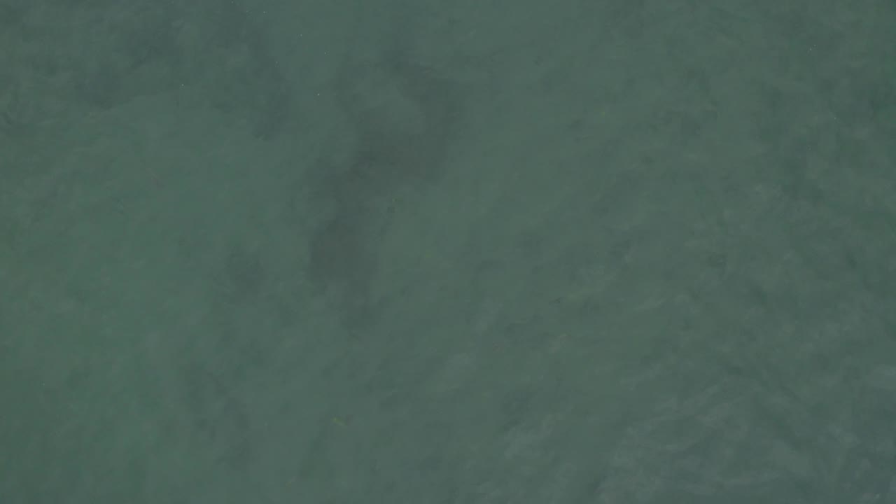 Overhead ocean surface in Baja California Sur, Mexico, showing muted wave movement and scattered darker shapes under the water, with no visible people.