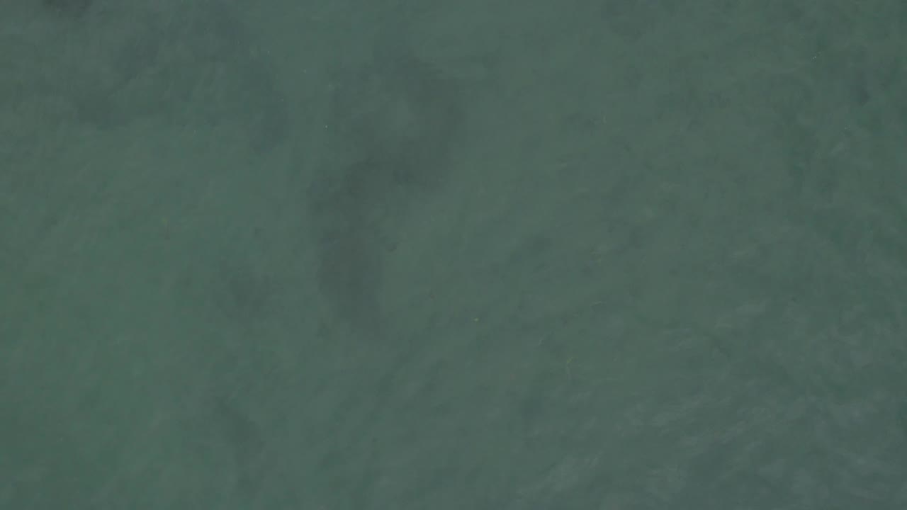 Blue-green ocean seen from above in Baja California Sur, Mexico, with a soft surface texture and no shoreline, boats, or visible people.
