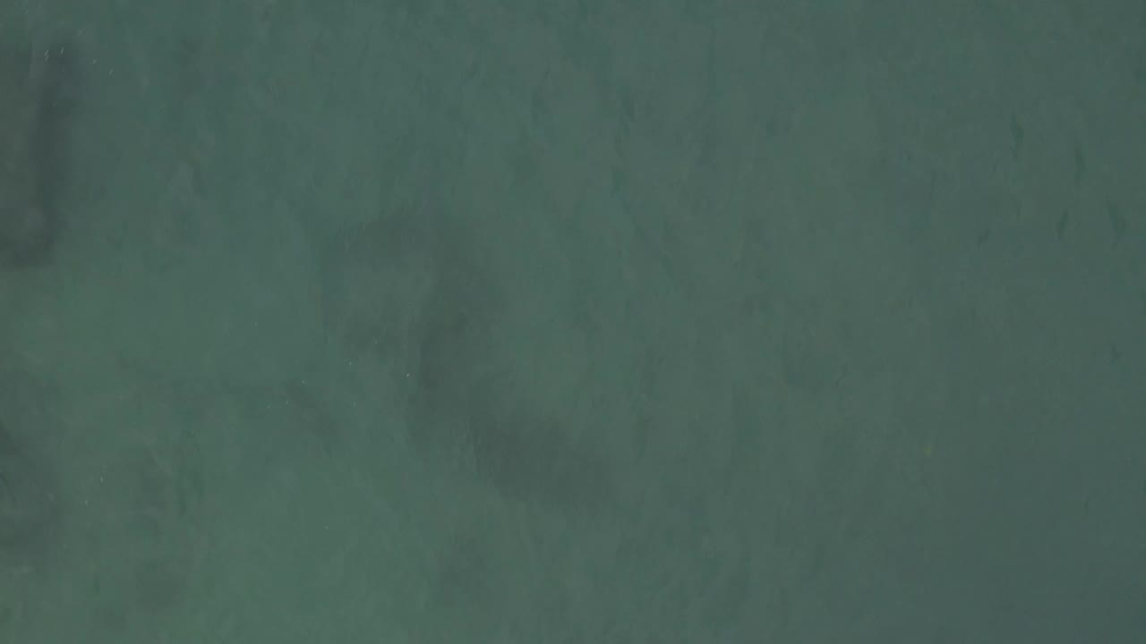 Overhead Baja California Sur water fills the frame, with soft ripple patterns and several darker submerged marks visible under the teal surface, no visible people.