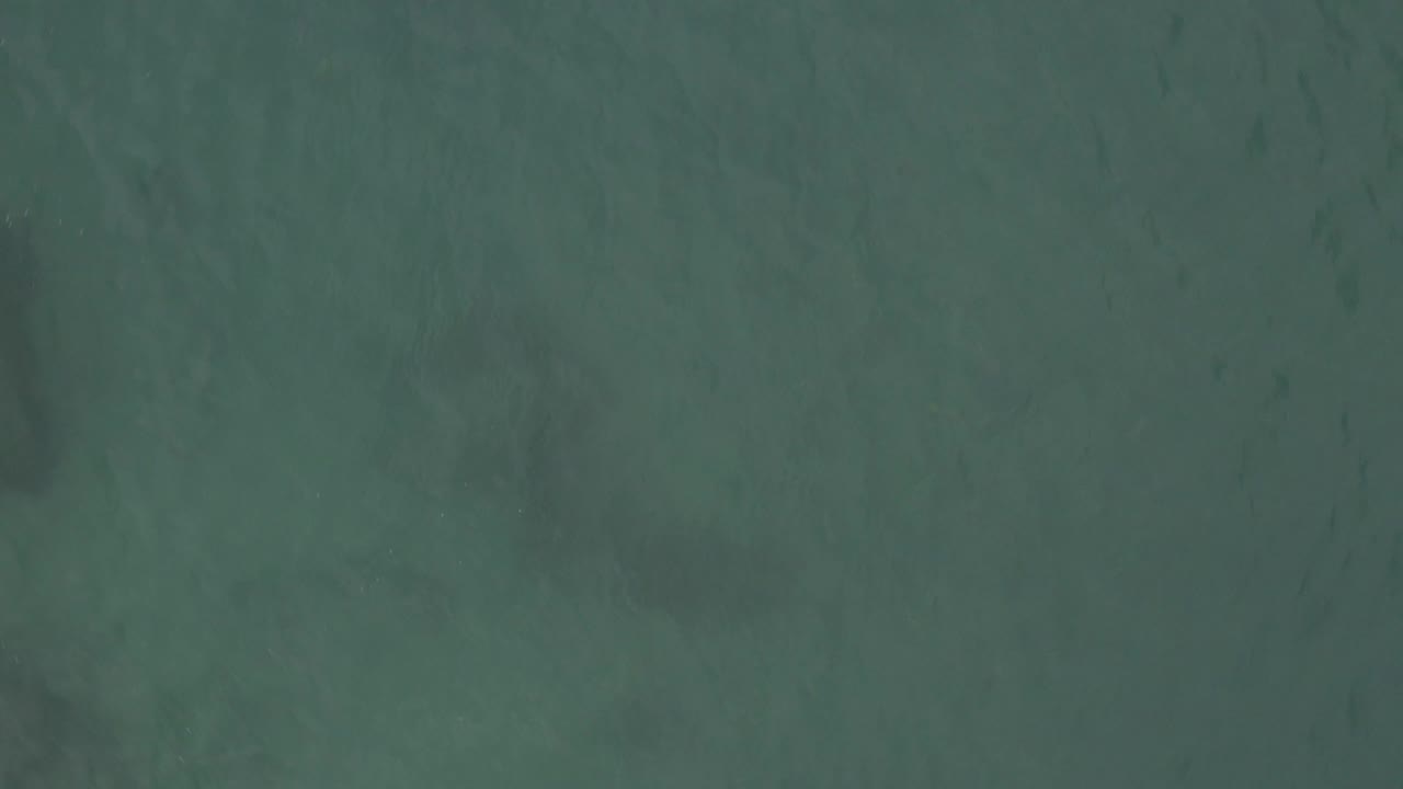 Blue-green water in Baja California Sur is shown from above, with faint dark forms below the surface and no boats, buildings, or visible people.