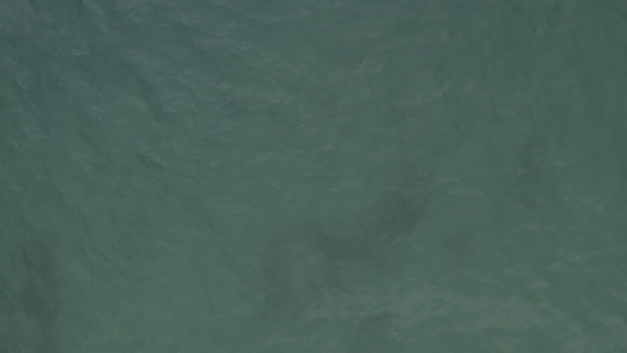 Overhead green-blue water surface with faint ripples